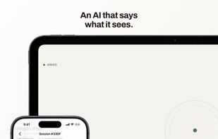 Stealward screenshot 2