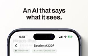 Stealward screenshot 1