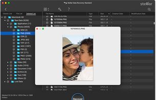 Preview files and select the required ones, then click Recover.