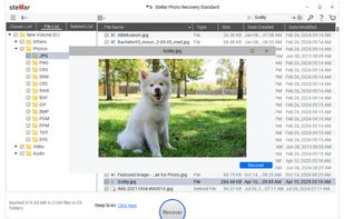 Select files after the scan and click 'Recover'to save recovered data
