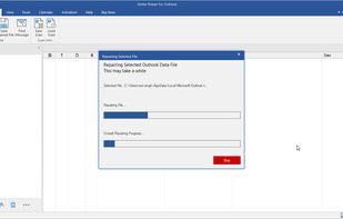 The software simultaneously scans and repairs the Outlook data file.