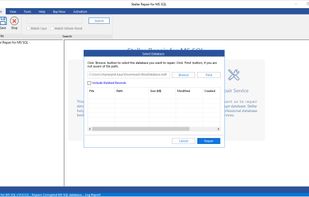 Stellar Repair for MS SQL screenshot 1
