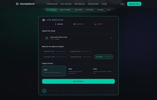 Choose your task preset and output format before processing