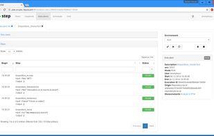 Test execution view with status of each test step, input, output, instant statistics, etc.