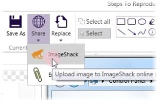 StepsToReproduce screenshot 2