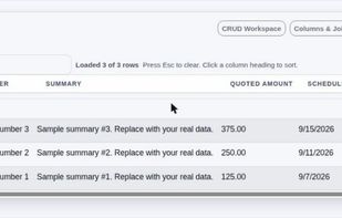 The generated CRM list screen, ready to use