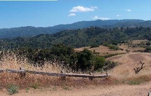 Stitch Panorama screenshot 1