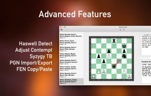Stockfish screenshot 1