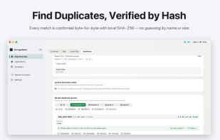 Duplicate Review finds exact copies by hash and shows the space you could get back.