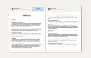 SWOT Analysis Example 1/3
