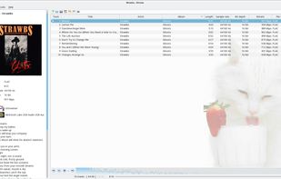 Strawberry screenshot 1