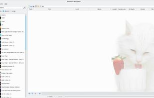 Strawberry screenshot 1