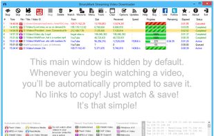 Streaming Video Downloader screenshot 1