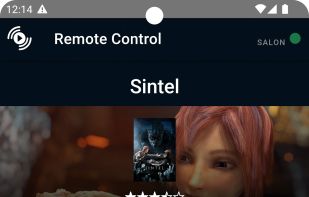 StreamShare screenshot 2