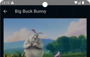 StreamShare screenshot 1