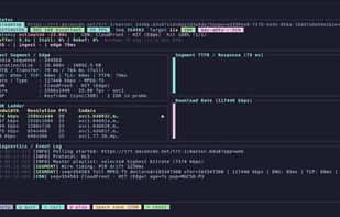 Interactive TUI dashboard with real-time stream metrics and TR 101 290 diagnostics