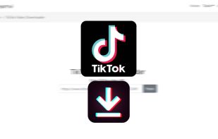 TikTok video downloader.