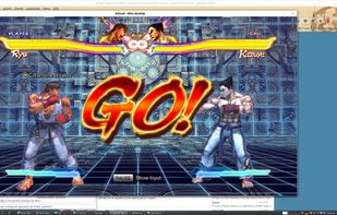 Linux Mint 17.3 no fps-los