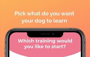 Strelka screenshot 1