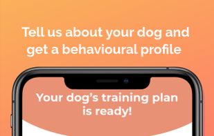 Strelka screenshot 1