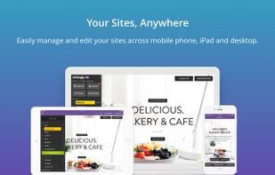 Strikingly screenshot 3