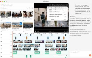 Assemble footage with an AI assistant and export to Premiere Pro, DaVinci Resolve, or Final Cut Pro.