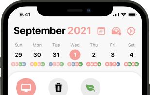 Structured screenshot 2