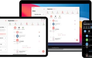 Structured screenshot 1