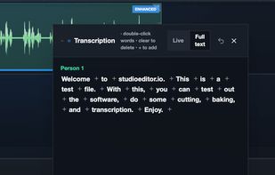 StudioEditor.io screenshot 3