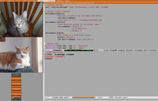 StumpWM screenshot 2