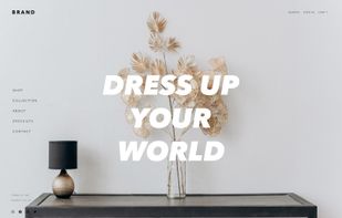 Online stores for home and decor brands.