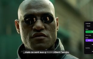 Sublango screenshot 1