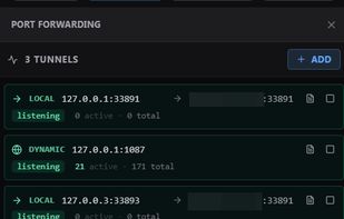 Port forwarding — local / remote / dynamic SOCKS tunnels, live active-connection counters, autostart with the app