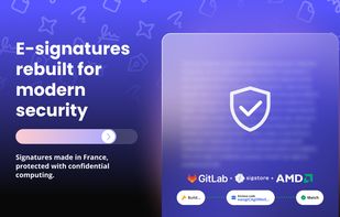 Presentation of confidential e-signatures