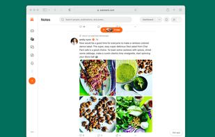 Substack Notes screenshot 2