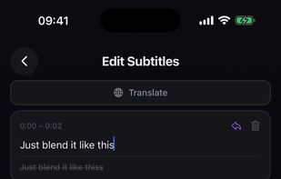 Subtitled screenshot 2