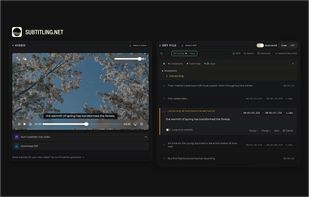Subtitling.net Free Online SRT Editor