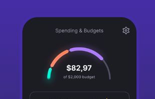 SubTrack: Your Budget Buddy screenshot 2