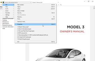 SumatraPDF screenshot 3