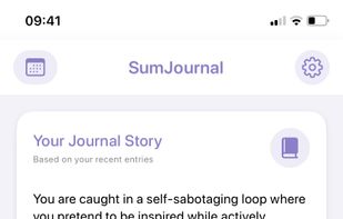 sumjournal insights view