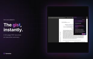 Sumwise AI screenshot 1