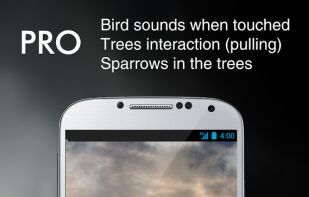 Sun Rise Live Wallpaper screenshot 1