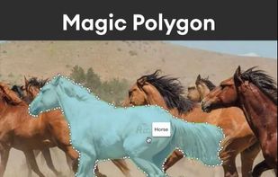 SuperAnnotate screenshot 1