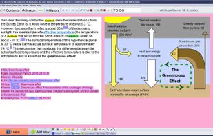 SuperMemo for Windows screenshot 1