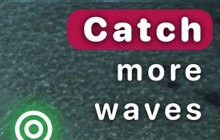 Gone Surfing screenshot 1