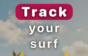 Gone Surfing screenshot 1
