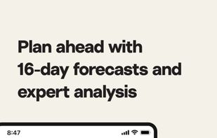 Surfline screenshot 3