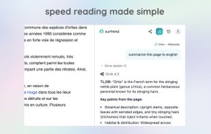 surfmind screenshot 1