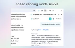 surfmind screenshot 1