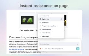 surfmind screenshot 3